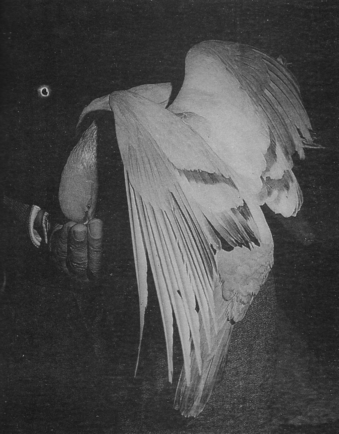 �����Ϻ���׷˼����ר��2 - �����û� ͷ���м���In Memory of the Venerable Master Hsuan Huan - Transformation of a Bodhisattva,