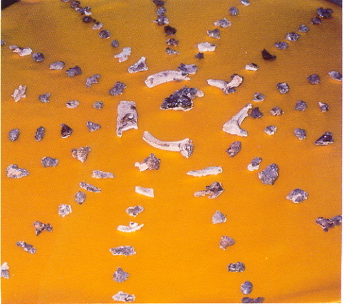 宣化老和尚追思纪念专集 - 照片选辑．In Memory of the Venerable Master Hsuan Huan - Photographs