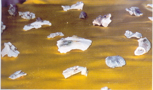 宣化老和尚追思纪念专集 - 照片选辑．In Memory of the Venerable Master Hsuan Huan - Photographs